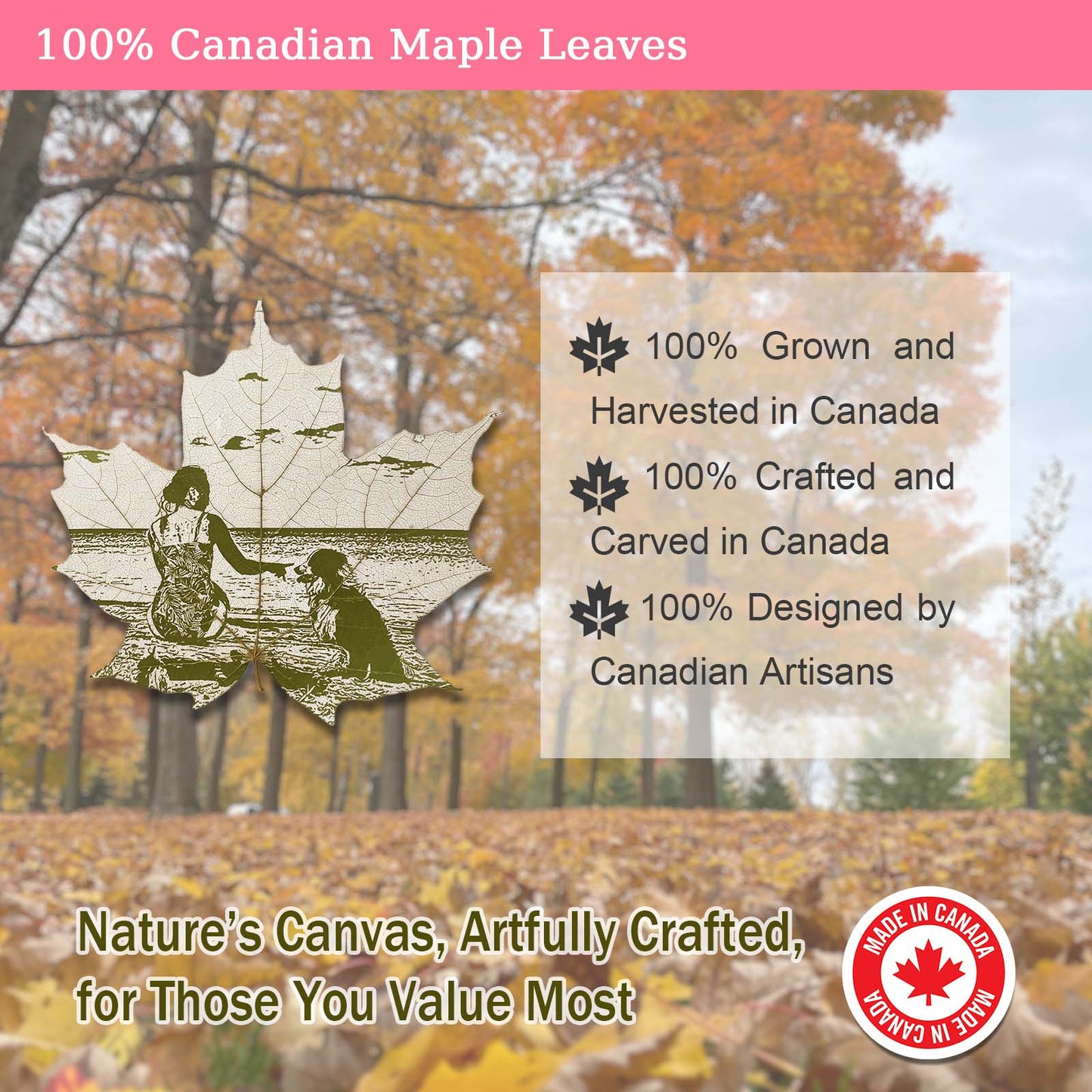 Promotional image of maple leaf products with autumn scenery and branding elements.