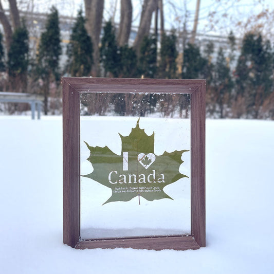 Creative Maple Leaf Souvenir - Authentic Canadian Gift | LaMem