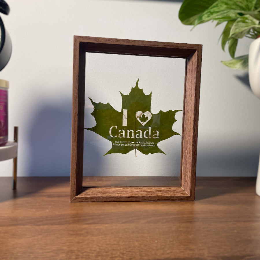 Engraved maple leaf souvenir made from real Canadian leaves, I love Canada