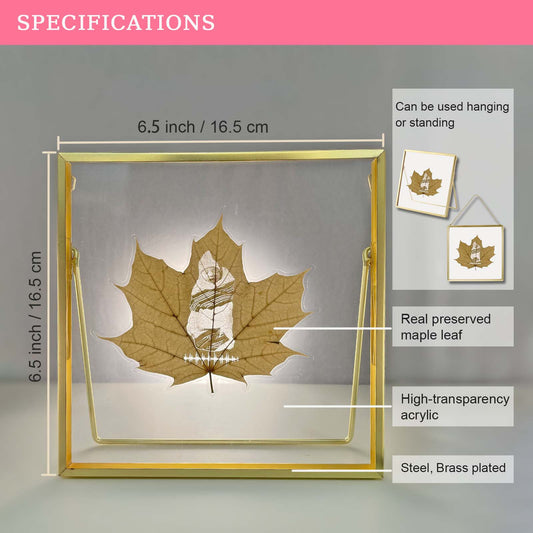 Gold-framed display case with preserved maple leaf, showing dimensions and features.
