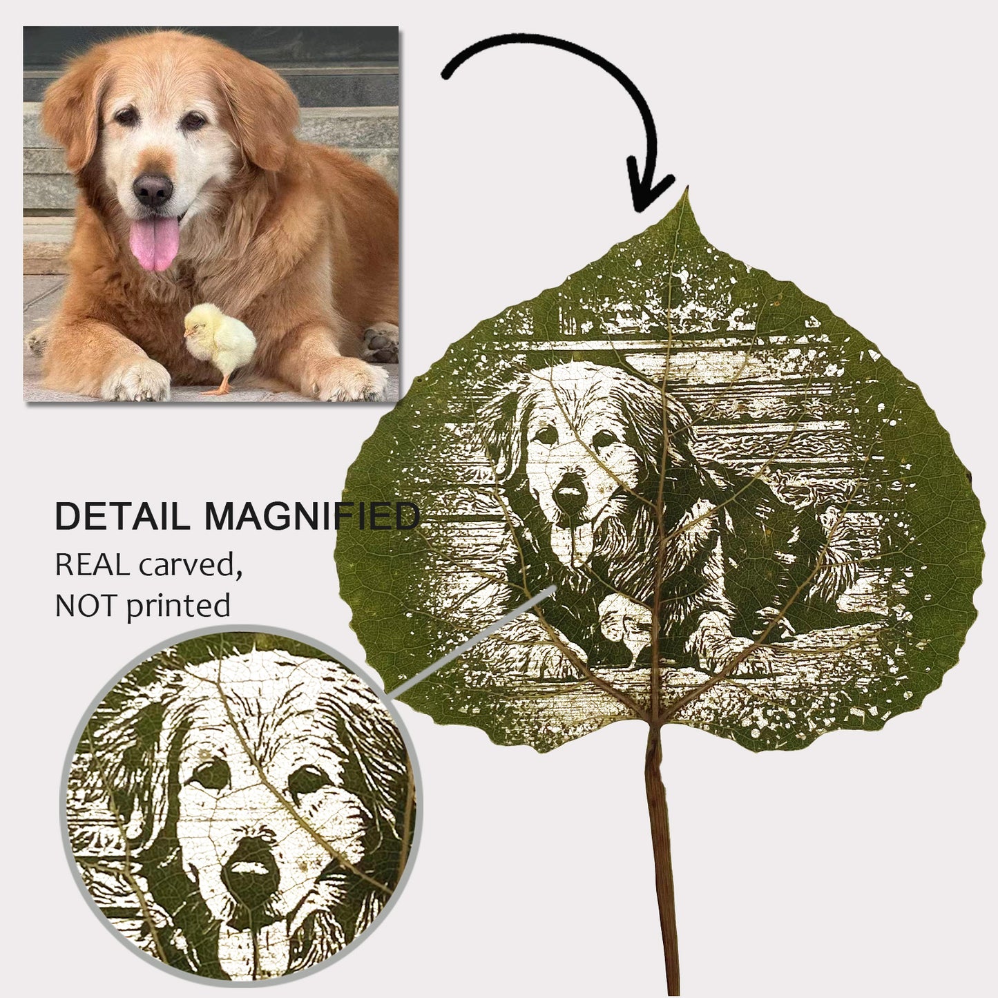 Aspen Leaf Art – Personalized Portrait Engraving in Walnut Frame | LaMem