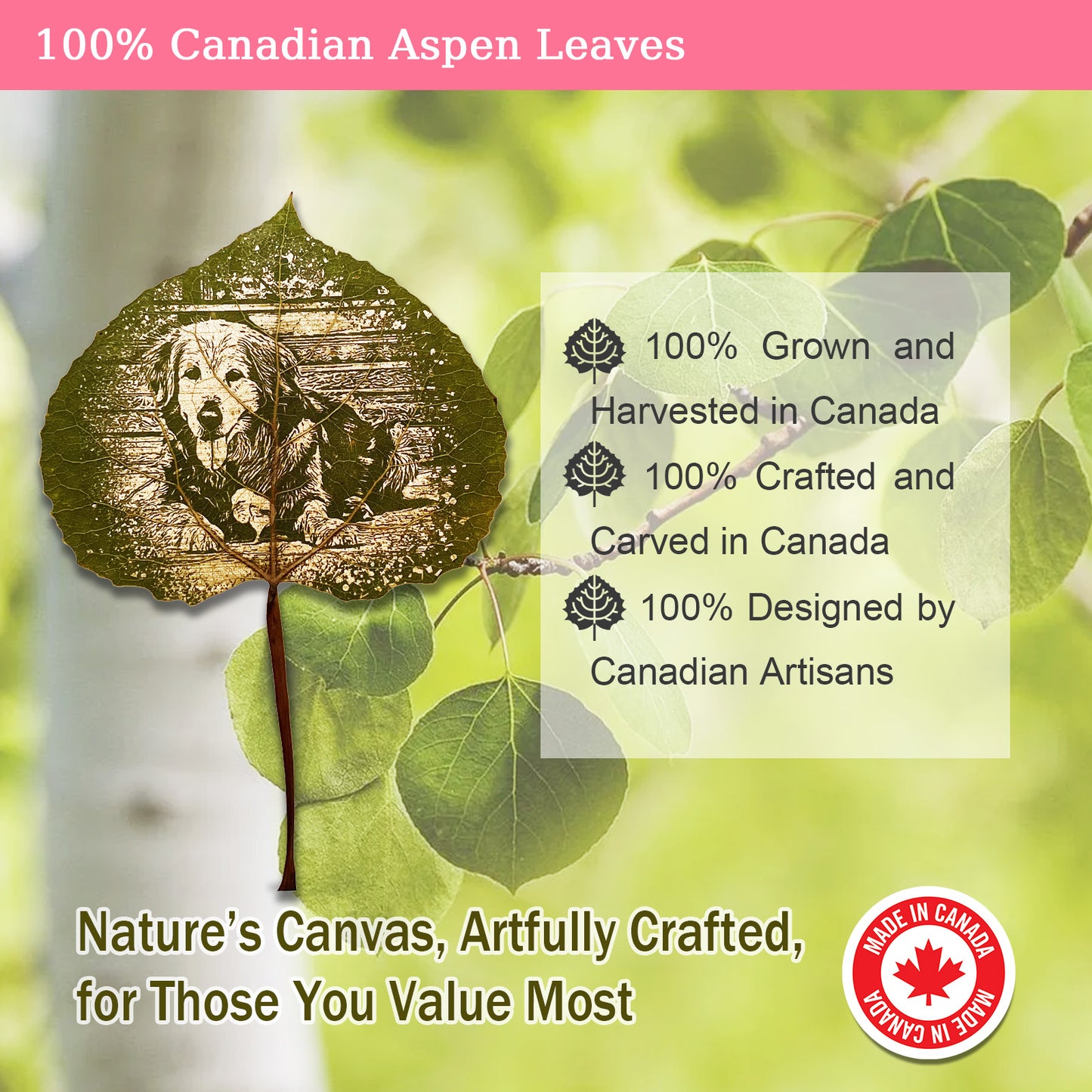 Aspen Leaf Art – Personalized Portrait Engraving in Walnut Frame | LaMem