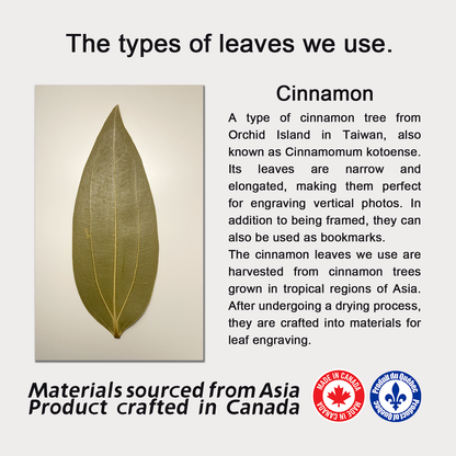 Cinnamon Leaf Engraving with Wooden Frame, Custom Photo on Leaf, Engraved Photo on Real Leaf, Custom Home Decor, Personalized Portrait from Photo as Long Distance Gift