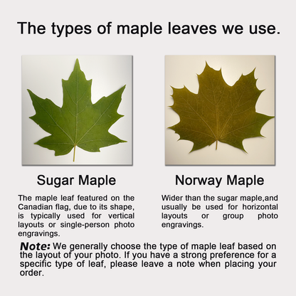 Maple Leaf Engraving with Wooden Frame, Custom Photo on Leaf, Engraved Photo on Real Leaf, Custom Home Decor, Personalized Portrait from Photo as Long Distance Gift