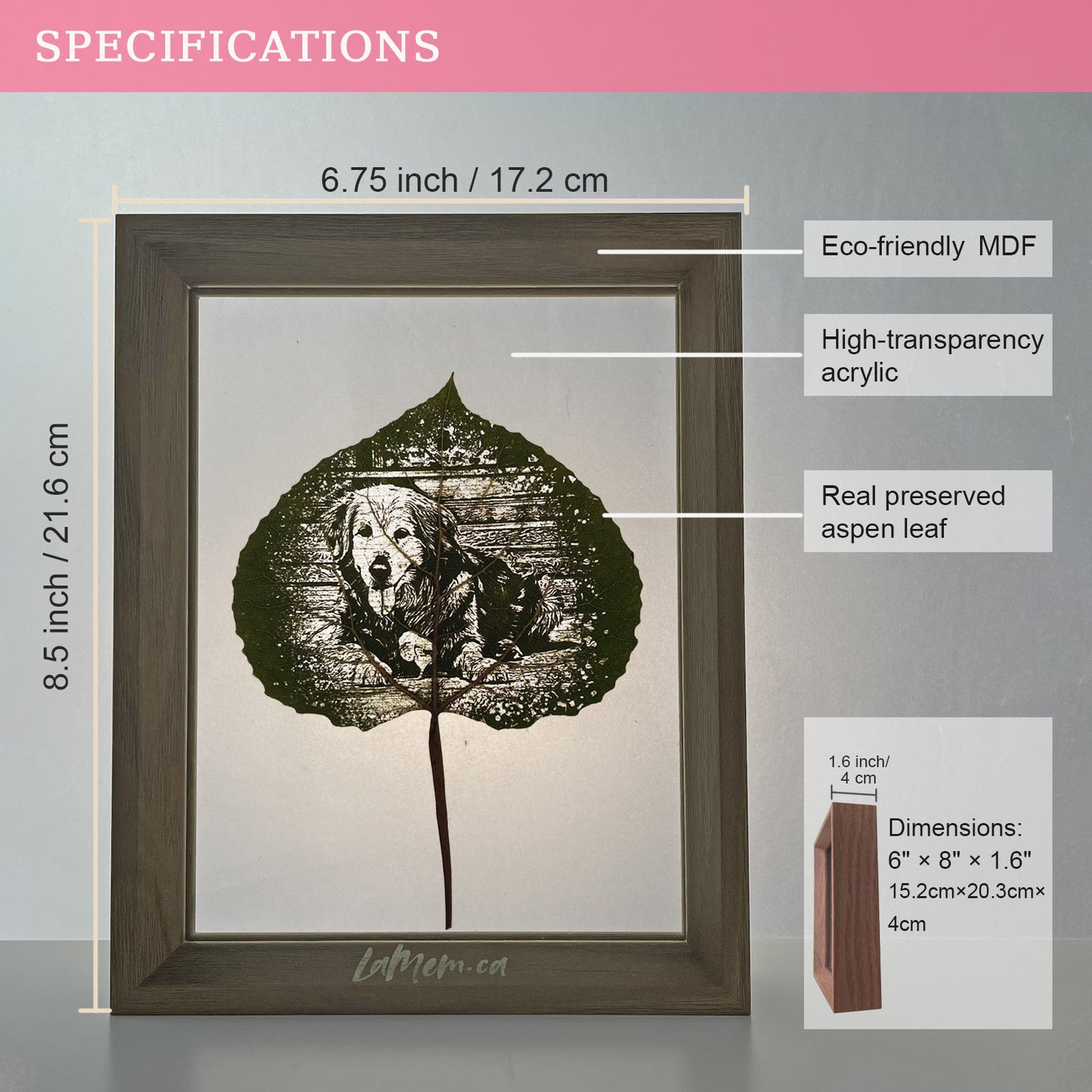 Aspen Leaf Art – Personalized Portrait Engraving in Walnut Frame | LaMem
